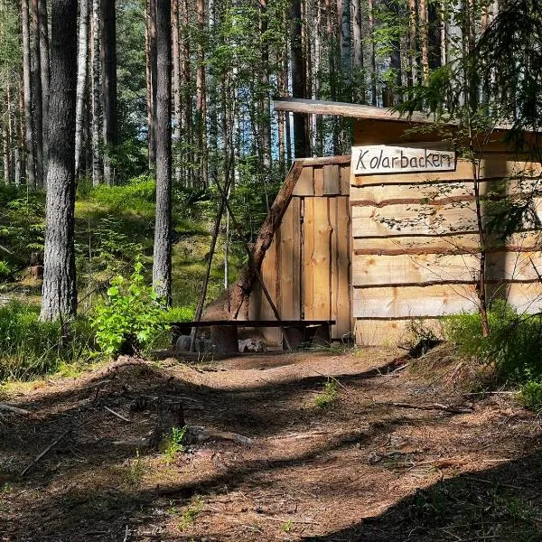 Kolarbacken，位于Säter的酒店