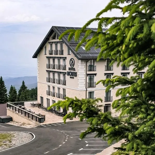 Montis Hotel & Spa，位于米克山的酒店