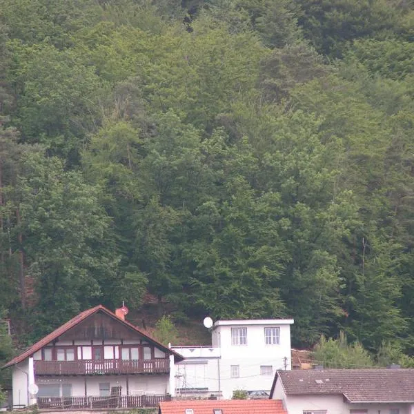 Wellness und Wander Oase Burgwald，位于Mellnau的酒店