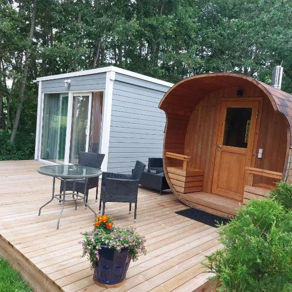 Pauna Puhkemajad，位于Tori的酒店