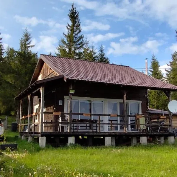 Casuta Schiorului，位于马里瑟尔的酒店