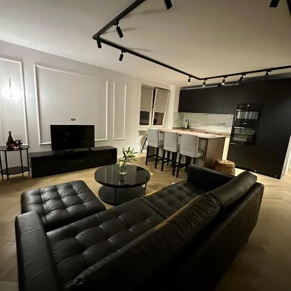 MIO Apartament Sosnowiec，位于索斯诺维茨的酒店