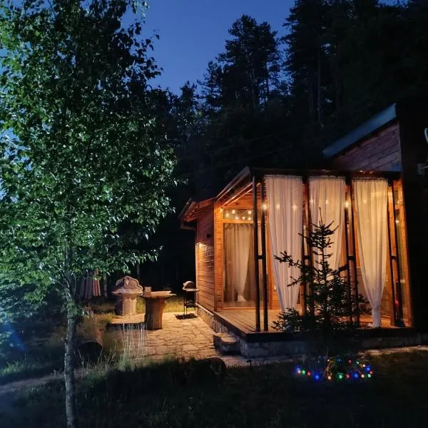 Wooden Mountain Villa，位于贝罗沃的酒店