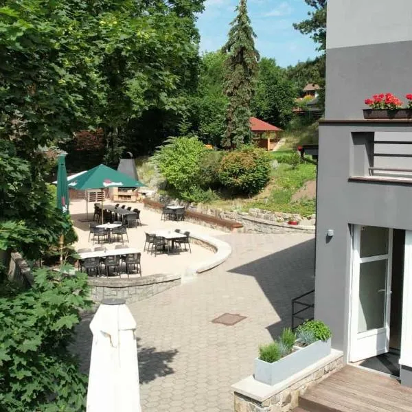 Penzion Harmony Javorník，位于Čtyřkoly的酒店