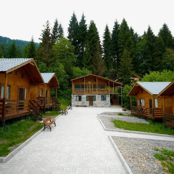 Mountain Cabins，位于梅斯蒂亚的酒店