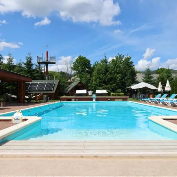 Cazare la Munte cu Piscină，位于Bistra的酒店