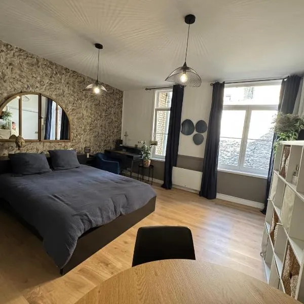 Studio INDIGO Plein Centre，位于圣奥梅尔的酒店