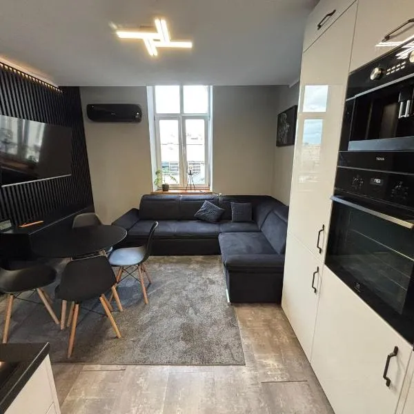 DWORAK apartment，位于普热梅希尔的酒店