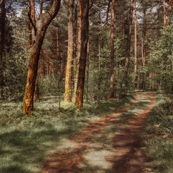 自然商务SPA酒店，位于谢维日的酒店