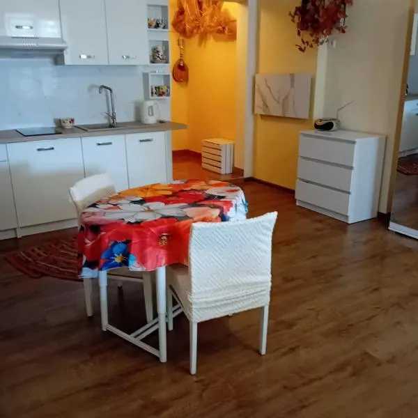 Kamienica na Lubelskiej，位于Opole Lubelskie的酒店
