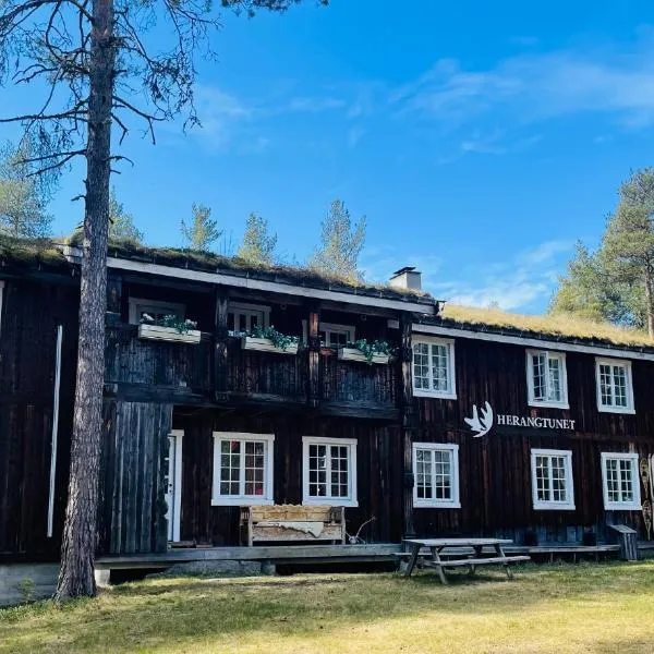 Herangtunet Mountain Lodge，位于赫根尼斯的酒店