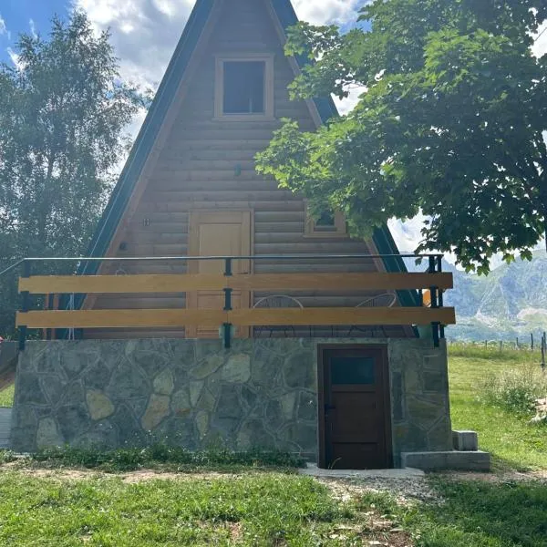 House Durmitorski konak，位于Virak的酒店