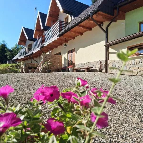 Apartamenty u Chlipały，位于Krośnica的酒店