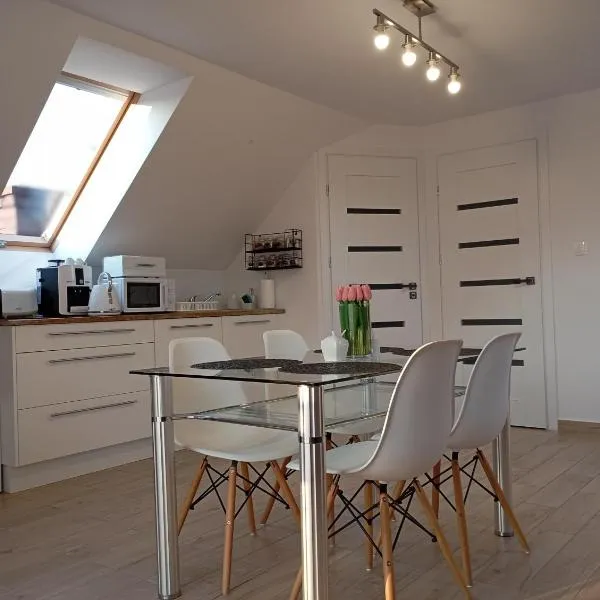 Apartment/mieszkanie u Janusza，位于Grybów的酒店