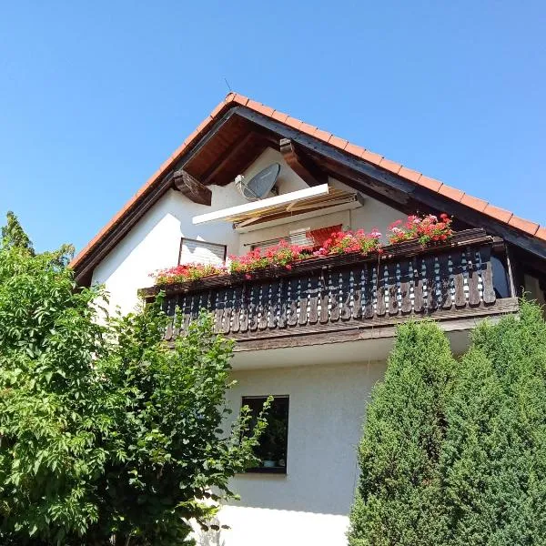Haus Carmen，位于Falkenhain的酒店