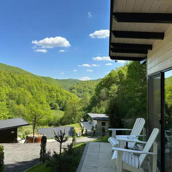 Cabanele din Valea Ursului，位于Bîrsana的酒店