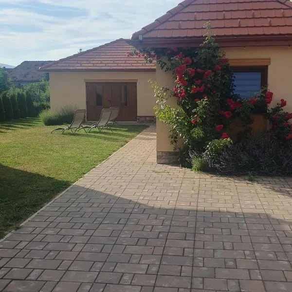 Cazare rustică la curte，位于密古雷休治的酒店