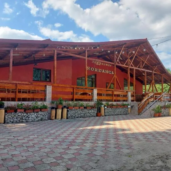 Pensiunea Soreanca，位于Costeşti的酒店