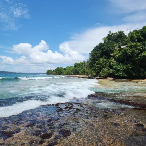 Tesoro Escondido Ecolodge Cabinas，位于博卡斯德尔托罗的酒店