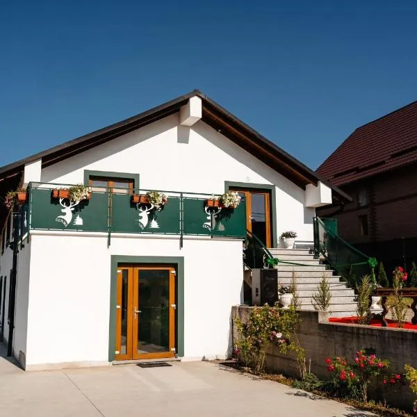 Cerma Bucovina，位于Marginea的酒店