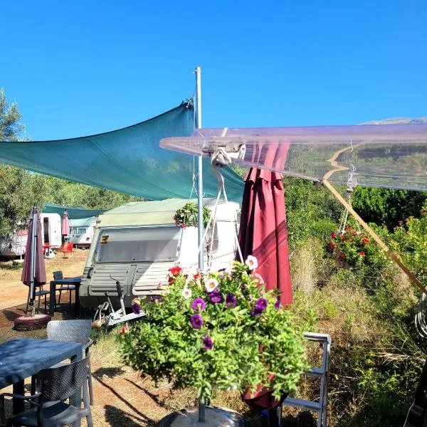Aquariumi Jale Camping，位于贾尔的酒店