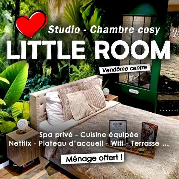 Appartement Chambre Cosy - Jacuzzi - Little Room Vendôme，位于旺多姆的酒店