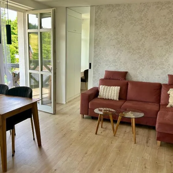 Apartmán U Zlaté břízy Krušné hory - Erzgebirge，位于上布拉特纳的酒店
