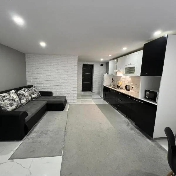 1-Confortable and ideal Apartament-Квартира посуточно Edinet，位于埃迪内茨的酒店