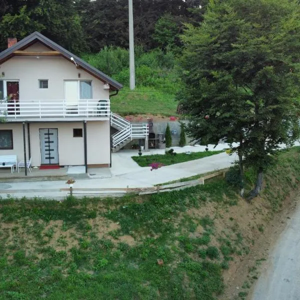 Vila Vlasina，位于弗拉西纳里德的酒店