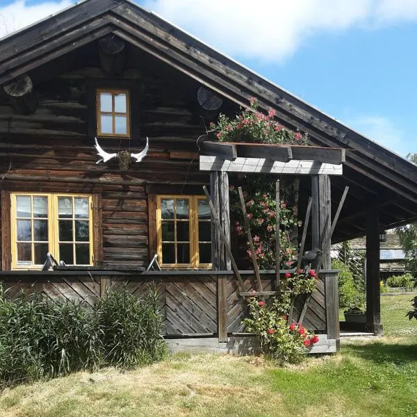 Fredelig plass for rekreasjon，位于Krøderen的酒店