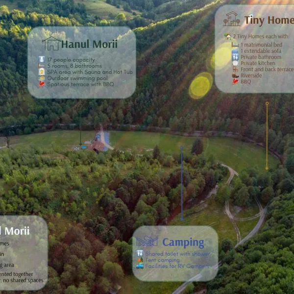 Hanul Morii，位于Ciucea的酒店