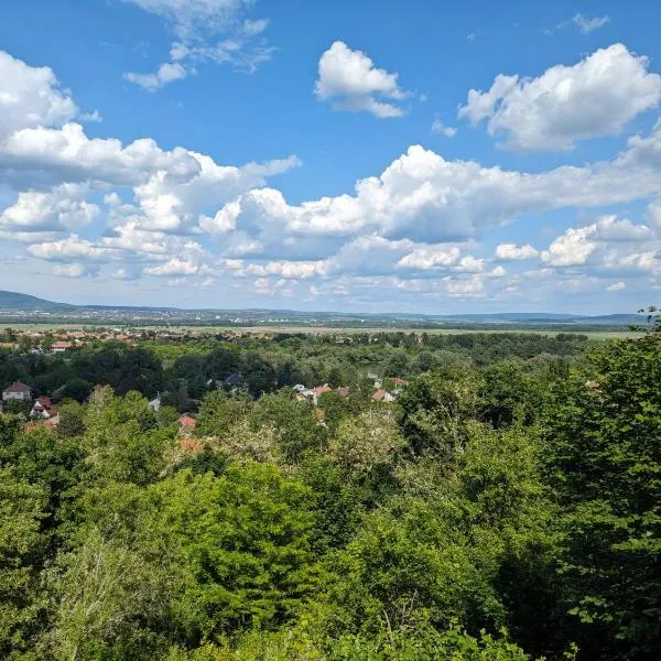 Dunai Panoráma Kisház，位于Tahitótfalu的酒店