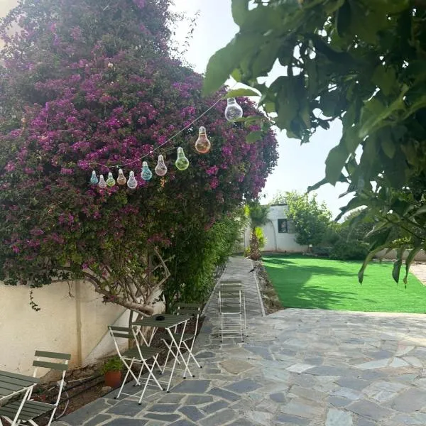 Hostl - Beds & Rooms - The Hostel Inn Paphos, Old Town，位于帕福斯的酒店