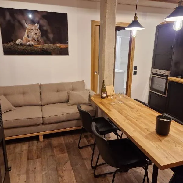 Gite du lavoir，位于Sirod的酒店