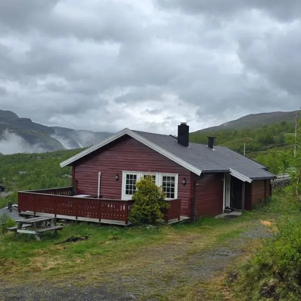 Fjellheimens Svanebu，位于Tyinkrysset的酒店