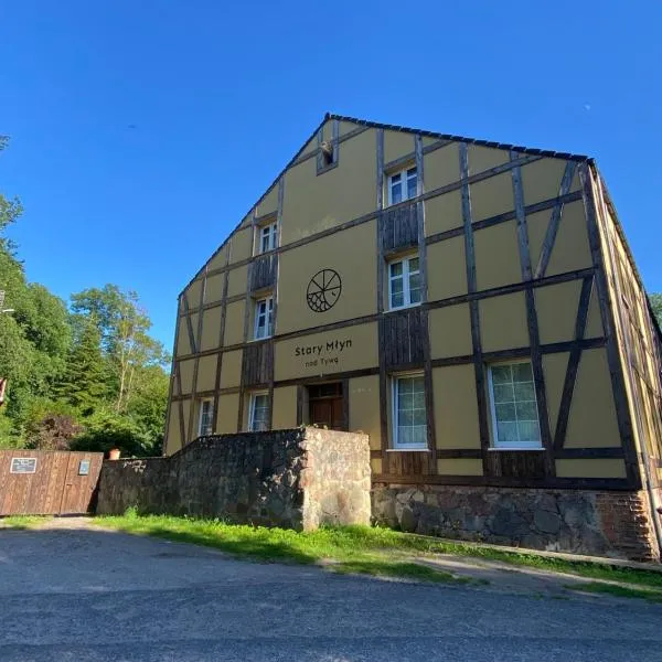 Stary młyn nad Tywą，位于格雷菲诺的酒店