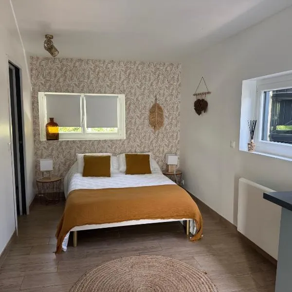 Studio proche Aéroport de Nantes，位于Saint-Aignan-Grand-Lieu的酒店