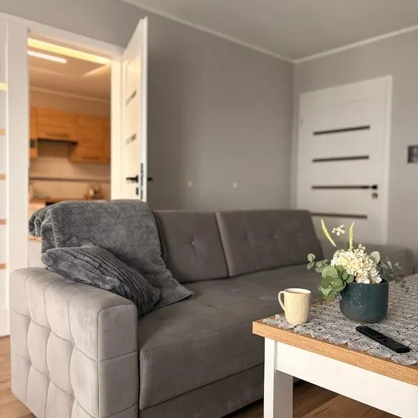 Apartament 11 na 10，位于格武霍瓦济的酒店