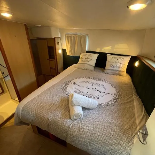 Iris, bateau douillet sur le canal du nivernais，位于La Collancelle的酒店