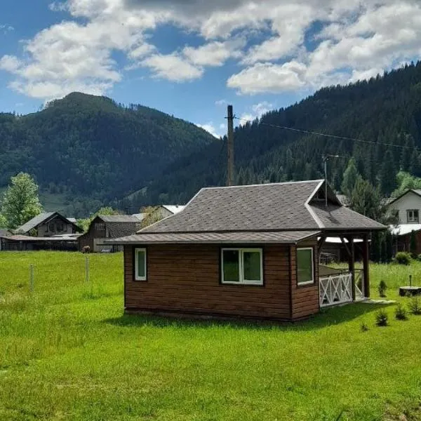 Гражда Лофт для двох в Карпатах，位于Krivorovnya的酒店