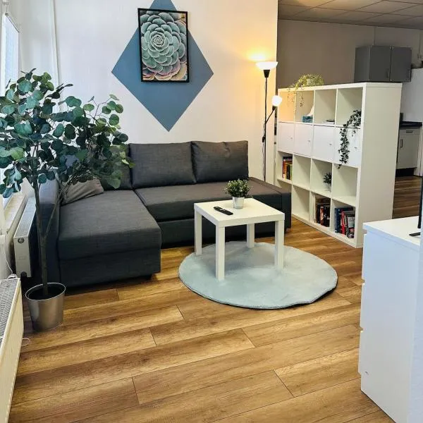 traumhaftes zentrales Apartment zum Entspannen，位于莱比锡的酒店