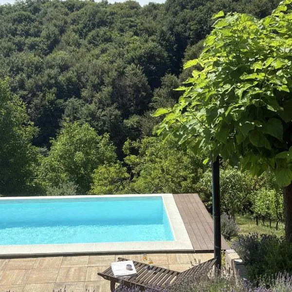 Apartma Lavanda，位于Zavrč的酒店