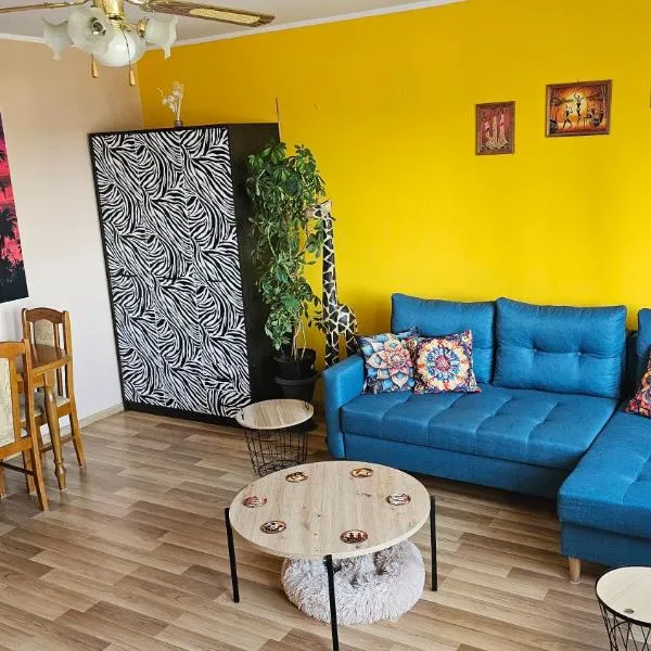 Apartament SAFARI，位于托伦的酒店