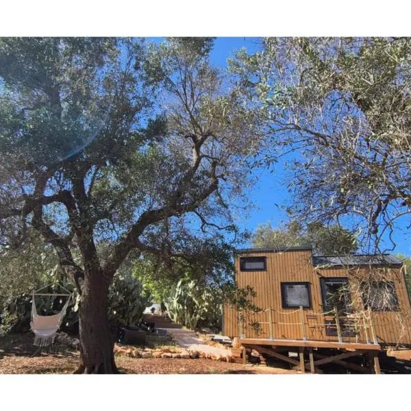 Il Nostro Sogno - Madonna by Tiny Away，位于圣米凯莱萨伦蒂诺的酒店