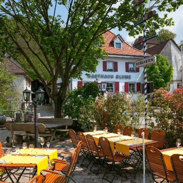 Zur Blume Hotel & Restaurant Efringen-Kirchen bei Basel，位于巴登韦勒的酒店