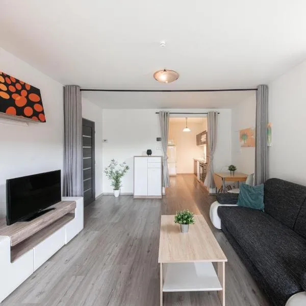 Apartmán Rožnov České Budějovice，位于捷克布杰约维采的酒店
