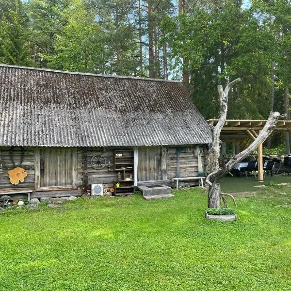 Tammemäe ait，位于Haapsi的酒店