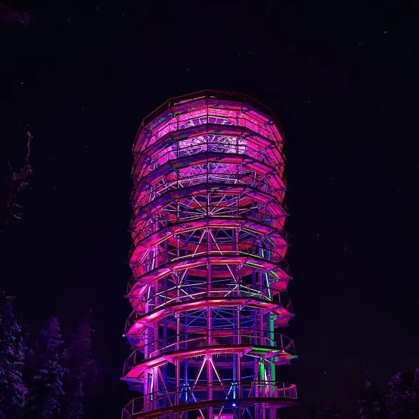 Apartamenty pod Dzikowcem，位于博古舒夫-戈尔采的酒店