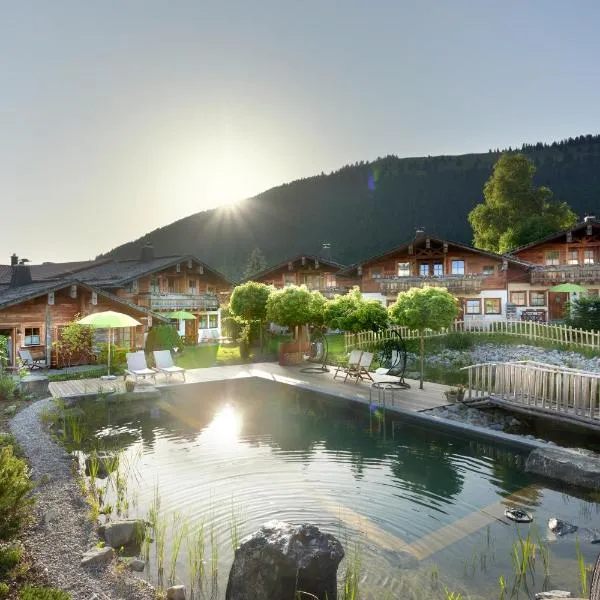 Alpin Chalets Oberjoch，位于巴特欣德朗的酒店