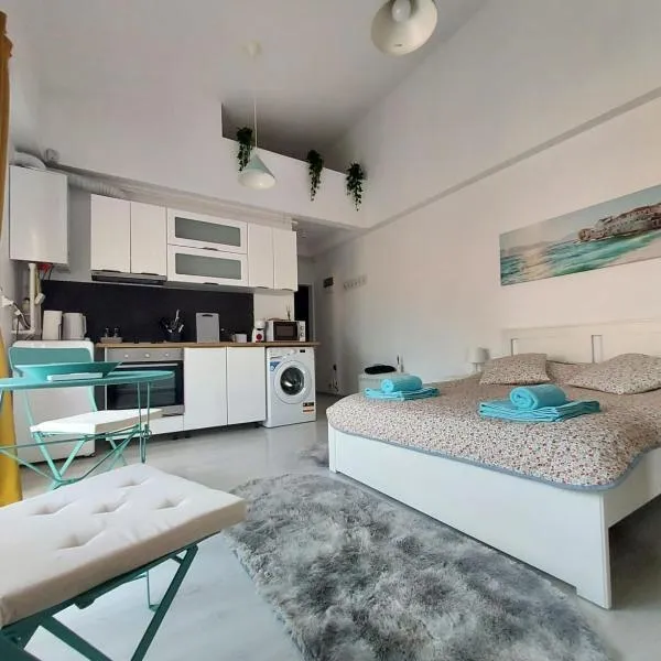 Otopeni Studio Airport Therme C1A4，位于奥托佩尼的酒店